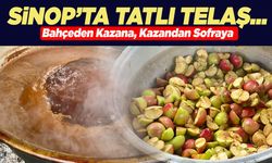 Sinop’un köylerinde tatlı telaş!