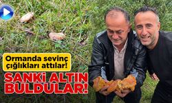 Sinop’ta mantar sevinci kamerada