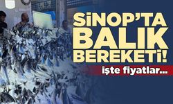 Sinop’ta balık bolluğu fiyatlara da yansıdı