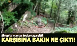 Karşısına çıkanı görünce telefona sarıldı!