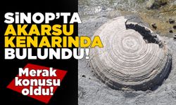 Sinop’ta bulunan küre şeklindeki oluşum merak konusu oldu