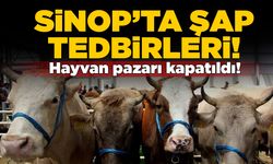 Kabalı köyü hayvan pazarında şap tedbiri