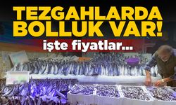 Sinop’ta balıkçılık sezonu bereketli geçiyor