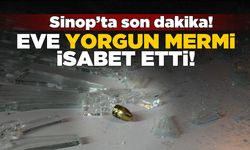 Sinop'ta bir eve yorgun mermi isabet etti