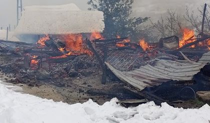 Ordu’da ahşap ev yanarak kül oldu