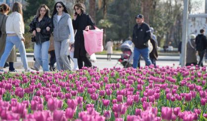 Samsun binlerce laleyle süslendi