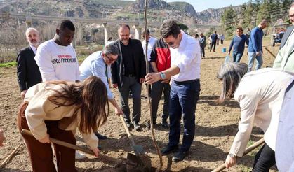 Vali Aygöl, üniversite öğrencileriyle birlikte fidan dikti