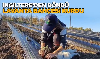 Sinoplu girişimci devlet desteğiyle lavanta bahçesi kurdu