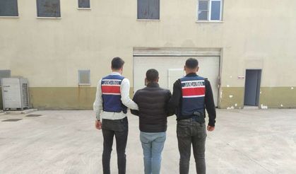 Hırsızlık ve yağma suçundan aranan hükümlü jandarmadan kaçamadı
