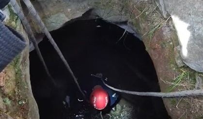 Kuyuya düşen köpeği itfaiye ekipleri kurtardı