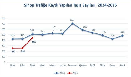 Sinop’ta trafiğe kayıtlı araç sayısı açıklandı