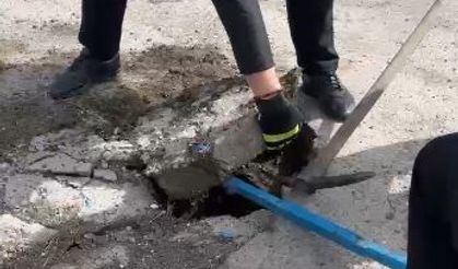 Yağmur suyu hattına düşen yavru ördek ekiplerce kurtarıldı