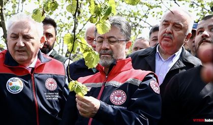 Zirai dondan etkilenen ürünler için devlet desteği sağlanacak
