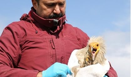 3 yılda 101 bin kilometreden fazla uçtu