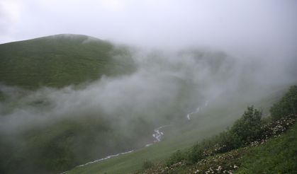 "20. Dağ Horozu Şenliği" düzenlendi