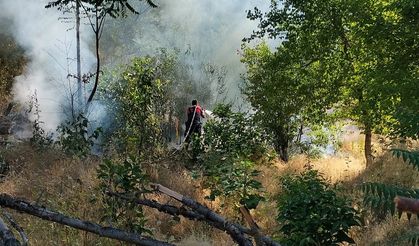Ot yangını çevreye sıçramadan söndürüldü