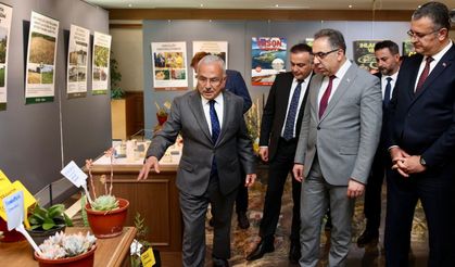 Tarım ve Orman Bakan Yardımcısı Ordu'da