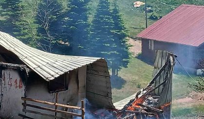 Yayla evinde yangın çıktı