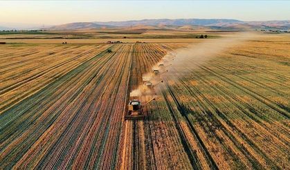Sinop'ta kırsal yatırımlara 56 milyon hibe desteği