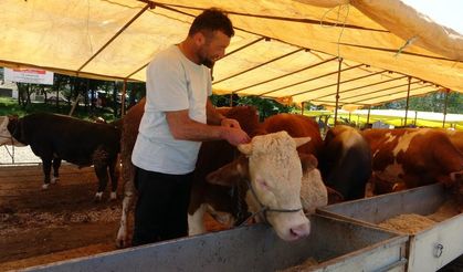 81 ildeki tüm hayvan pazarları kapatıldı