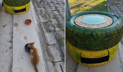 Atık lastikler kedilere ev oldu