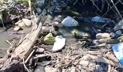 Korucuk Sahilinde lağım krizine çözüm bekleniyor