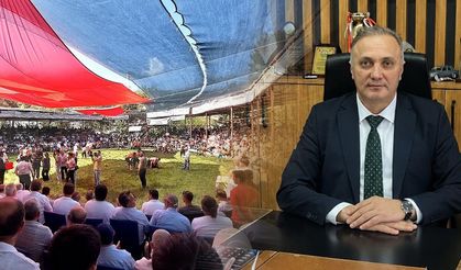 Dikmen Yağlı Güreşleri'nde gurbetten Sinop’a “gönül köprüsü”
