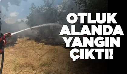 Orman kenarında çıkan yangın korku dolu anlar yaşattı
