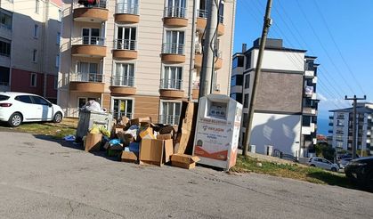 Sinop'ta konteynerlerdeki görüntü kirliliği tepki çekiyor