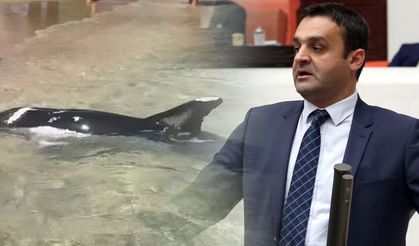 Karadeniz: "Sinop bir kez daha yüreğinin güzelliğini gösterdi"