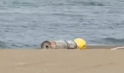 Akliman’da kıyıya vurdu, çıkardığı ses tedirgin etti!