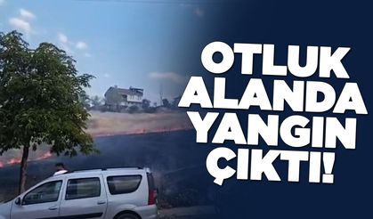 İlçede otluk alanda yangın çıktı!