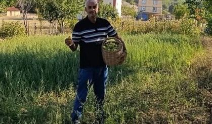 Ürünler dalda kaldı, o paylaşmayı seçti