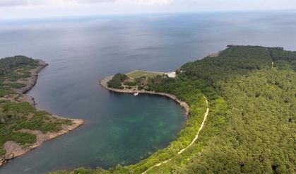 Sinop'ta yeşil ekonomi için istişare süreci başladı