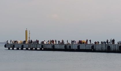 Sinop İskelesi amatör balıkçıların akınına uğradı