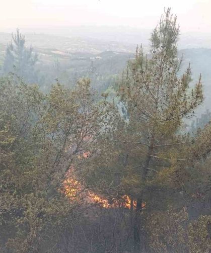 Denizli’de sezonun ilk orman yangını büyümeden söndürüldü