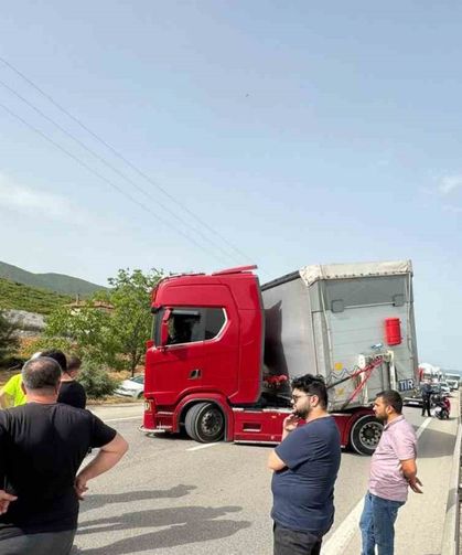 Küçük bir arı yüzlerce kişiyi mağdur etti