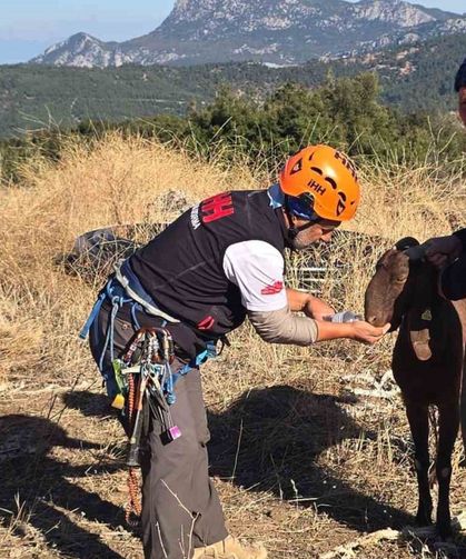 Kayaya sıkışan keçiye kurtarma operasyonu