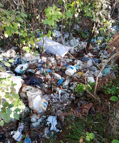 Sinop-Ayancık yolunda çevre kirliliği tepkisi