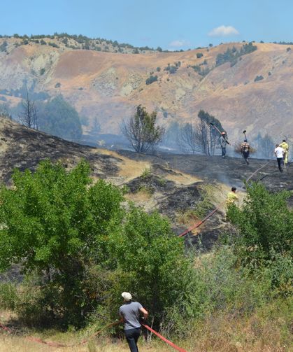 Ormanlık alanda yangın: 60 ardıç ağacı zarar gördü