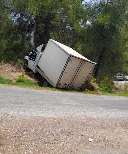 Kamyonet ağaca çarptı: 1 ölü, 1 yaralı