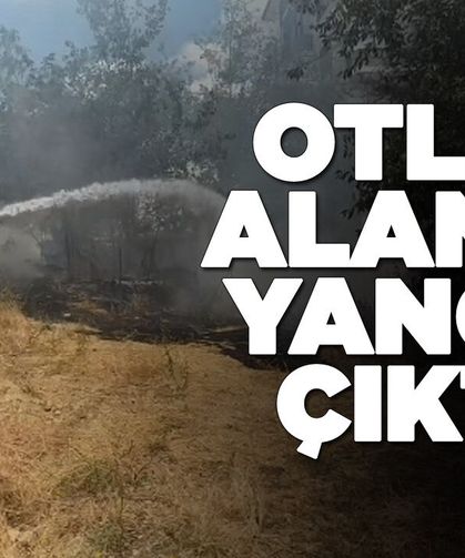 Orman kenarında çıkan yangın korku dolu anlar yaşattı