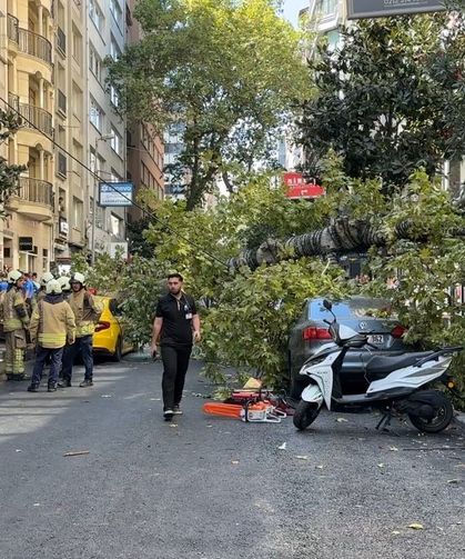 Çınar ağacı iki aracın üzerine devrildi