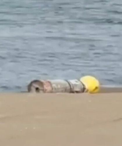 Akliman’da kıyıya vurdu, çıkardığı ses tedirgin etti!