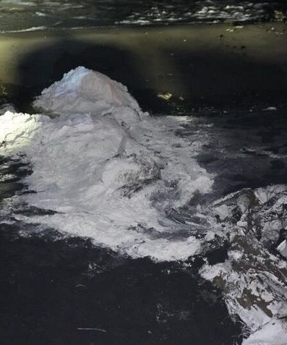 Sahillerde bulunan beyaz toz bakın ne çıktı?
