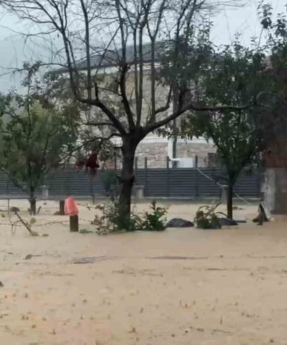 60 bin kanatlı hayvan selde telef oldu