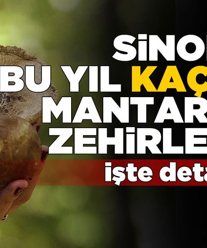 Sinop’ta mantar zehirlenmelerinde artış!