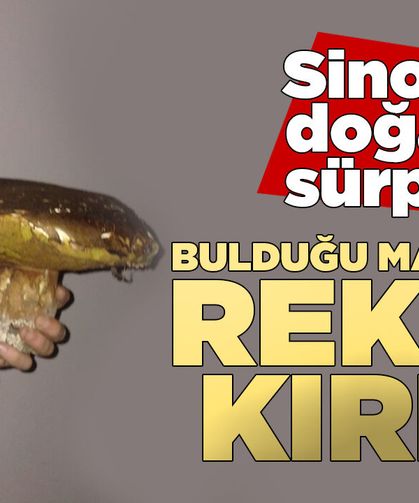 Sinoplu vatandaşın bulduğu dev mantar şaşırttı