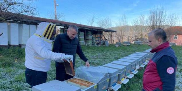 Bartın'da arıların sıcaklar nedeniyle kış salkımına girememesi üreticileri endişelendiriyor