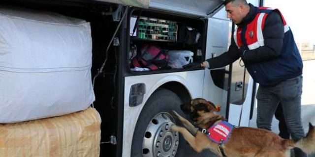 Bolu'da narkotik operasyonlarının gözde köpeği "Asır" uyuşturucuya geçit vermiyor